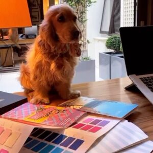 Kimberley Garner Instagram - New season colours @kimberleylondon