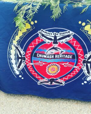 Kimberly McCullough Instagram - Learning more about the Chumash tribe (indigenous people of Ojai where I live and much of the Ca coast) has been my passion lately. My love for the ocean and the animals in it led me to this incredible organization chumashsanctuary.org *ACTION ITEM - sign the petition for a proposed marina sanctuary off the Ca coast ❤️