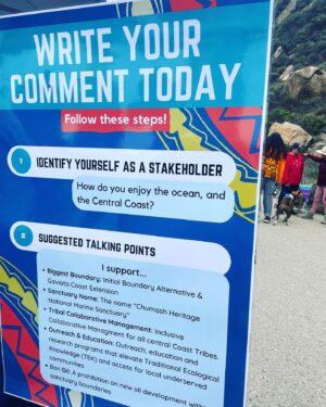 Kimberly McCullough Instagram - Learning more about the Chumash tribe (indigenous people of Ojai where I live and much of the Ca coast) has been my passion lately. My love for the ocean and the animals in it led me to this incredible organization chumashsanctuary.org *ACTION ITEM - sign the petition for a proposed marina sanctuary off the Ca coast ❤️
