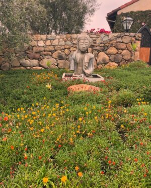 Kimberly McCullough Instagram - #yourdailyjack walk.
Literally 🛑 and smell the flowers. Meditate. Read a book.