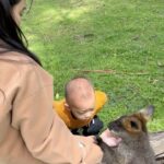 Kimberly Chia Instagram - Exposing this cutie animal lover to Australia’s favorite animals ❤️