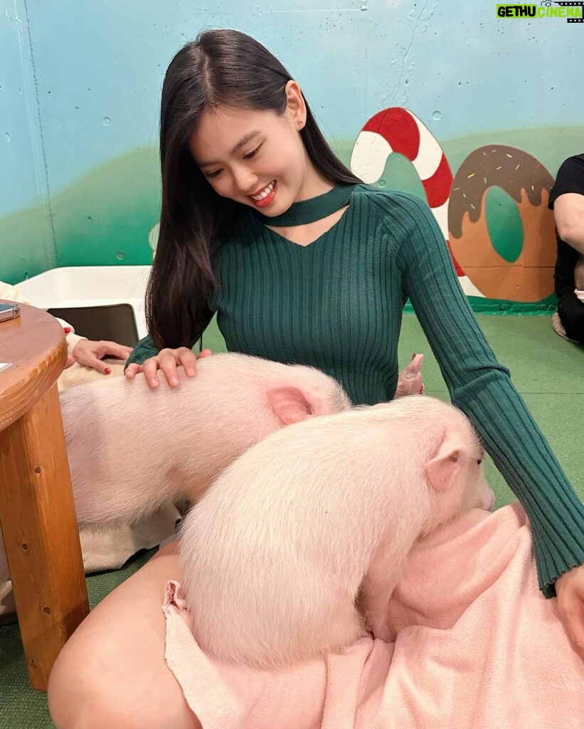 Kimberly Chia Instagram - One little…two little…three little pigs 🐷