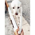 Kimya Gökçe Aytaç Instagram - ❣️