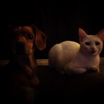 Kimya Gökçe Aytaç Instagram -