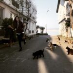 Kimya Gökçe Aytaç Instagram - Kınalı ve kedileri ❤️️