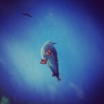 Kimya Gökçe Aytaç Instagram - Durma Jonathan !! Uç !!