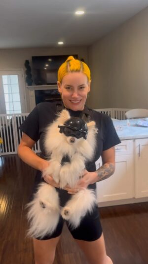 Kira Magnin-Forster Instagram - 😂 I’ve officially reached a new level of “crazy dog mom” 

@the_pee_boyz @johnhennigan 

#dogsofinstagram #pomeranian #Bowie #Bows #PetsofIG #losangeles #LA #pommom #crazydogmom
