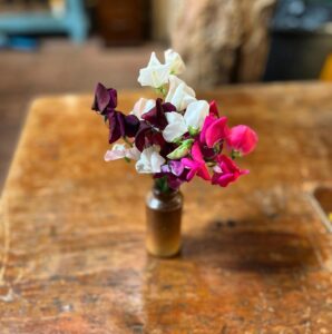 Kirsten Ramsay Instagram - A moment of calm during a busy day filming.

These beautiful Sweet-peas have been growing against the Repair Shop barn, planted as part of the set dressing by @polly_rawlings 

Thankfully they have survived the searing heat of the last few weeks and I couldn’t help myself from cutting a few stems and popping them in a lovely prop vase.
A glorious scent ….. such simple pleasures from the natural world 💚

#therepairshop #filming #setdesign #repair
#restoration #sweetpeas #sussex #flowers 
#kirstenramsay 
@therepairshoptv