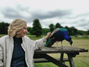 Kirsten Ramsay Instagram - Lunchtime at The Repair Shop and an unusual companion has recently joined the team! He’s clearly a super …. fan 😂

Picture @inthewindows 

@therepairshoptv #filming #filminglocation #peacock #therepairshop 
#kirstenramsay #ceramics #ceramicconservation #repair
#restoration #bird #sussexwildlife