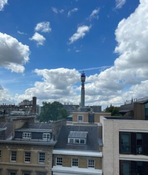 Kirsten Ramsay Instagram - Beautiful view from UCL Institute of Archaeology today.

Lucky to be attending a long awaited, in person course on Stain Reduction by Lauren Fair, visiting from the USA ….. quite niche I know.

It’s always interesting to meet fellow conservators, sharing and discussing techniques.

Looking forward to trying out some new treatments for ceramic objects.

In the distance is the iconic BT Tower, formerly the Post Office Tower, which used to tower above the London skyline. 

#conservation #conservatorsofinstagram #ceramics
@conservators_uk