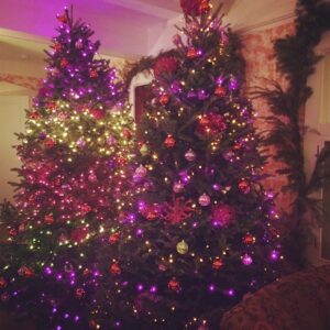 Kirstie Alley Instagram - 