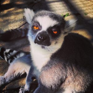 Kirstie Alley Instagram - Crazy eyes, beautiful heart. :)