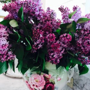 Kirstie Alley Instagram - Beauty abounds here ❤️💝