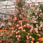 Kirstie Allsopp Instagram - Oops! Pics from #chelseaflowershow are all of flowers and things I want to buy. Foolish lack of celeb selfies, but many Thanks to @musculardystrophyuk for inviting me on to their amazing contemplative garden, to @kahoprints @weaver.green @neptunehomeofficial all inspiring business with great stands and to @plankbridge and @ahgardenantiques for tempting me so badly. It is a privilege and a joy to be invited by @the_rhs to attend Chelsea on the press day and one that I never take for granted. Finally, congratulations to @pachacutiuk for making a hat that could replace @trinemillerinteriors adored but battered old favourite, quite a feat. (no ads, no discounts, I mention companies I like and probably, embarrassingly, forget to mention just as many)