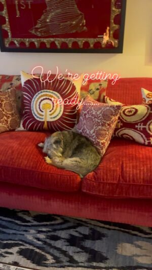 Kirstie Allsopp Instagram - It may look very peaceful now……