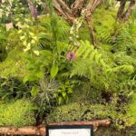 Kirstie Allsopp Instagram - Oops! Pics from #chelseaflowershow are all of flowers and things I want to buy. Foolish lack of celeb selfies, but many Thanks to @musculardystrophyuk for inviting me on to their amazing contemplative garden, to @kahoprints @weaver.green @neptunehomeofficial all inspiring business with great stands and to @plankbridge and @ahgardenantiques for tempting me so badly. It is a privilege and a joy to be invited by @the_rhs to attend Chelsea on the press day and one that I never take for granted. Finally, congratulations to @pachacutiuk for making a hat that could replace @trinemillerinteriors adored but battered old favourite, quite a feat. (no ads, no discounts, I mention companies I like and probably, embarrassingly, forget to mention just as many)