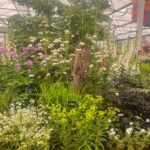 Kirstie Allsopp Instagram - Oops! Pics from #chelseaflowershow are all of flowers and things I want to buy. Foolish lack of celeb selfies, but many Thanks to @musculardystrophyuk for inviting me on to their amazing contemplative garden, to @kahoprints @weaver.green @neptunehomeofficial all inspiring business with great stands and to @plankbridge and @ahgardenantiques for tempting me so badly. It is a privilege and a joy to be invited by @the_rhs to attend Chelsea on the press day and one that I never take for granted. Finally, congratulations to @pachacutiuk for making a hat that could replace @trinemillerinteriors adored but battered old favourite, quite a feat. (no ads, no discounts, I mention companies I like and probably, embarrassingly, forget to mention just as many)