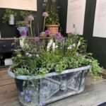 Kirstie Allsopp Instagram - Oops! Pics from #chelseaflowershow are all of flowers and things I want to buy. Foolish lack of celeb selfies, but many Thanks to @musculardystrophyuk for inviting me on to their amazing contemplative garden, to @kahoprints @weaver.green @neptunehomeofficial all inspiring business with great stands and to @plankbridge and @ahgardenantiques for tempting me so badly. It is a privilege and a joy to be invited by @the_rhs to attend Chelsea on the press day and one that I never take for granted. Finally, congratulations to @pachacutiuk for making a hat that could replace @trinemillerinteriors adored but battered old favourite, quite a feat. (no ads, no discounts, I mention companies I like and probably, embarrassingly, forget to mention just as many)
