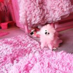 Kitten Kay Sera Instagram – Happy National Puppy Day @pupnamedpinky is my pink partner in fun! Shes my everything!! 💗🐾💗 so tickled pink I found you!!! Not a day goes by that I am not grateful to get to luv ya .. 💗💬💬💗