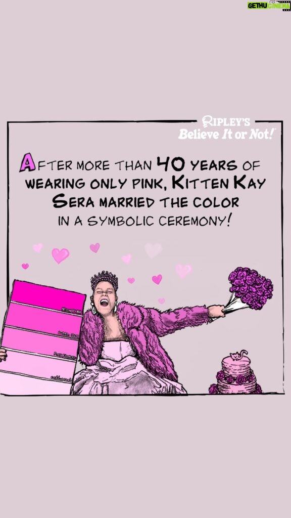 Kitten Kay Sera Instagram - Kitten Kay Sera took her love for pink to the next level by marrying the color! 💖💍   Which color are you tying the knot with?   #BelieveltorNot . . . #Ripleys #DailyCartoon #Cartoon #RipleyCartoons #BION#RipleysBION #FunFact #PinkestPerson #Pink #KittenKaySera
