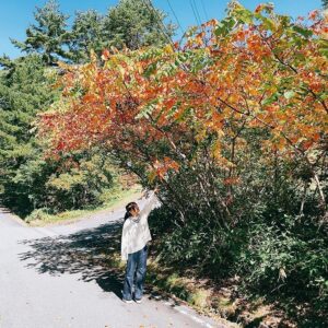 Kiyoe Yoshioka Instagram - ちょっと秋を探しに🍁

季節の移り変わりを感じますね🌝🍂

ススキって和むな、好きだな✨

良い秋にしましょうね🌰✨

すすきよ🍠🍇🎃

#お散歩