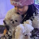 Ko So-young Instagram - ⛄️🤍🤍🤍