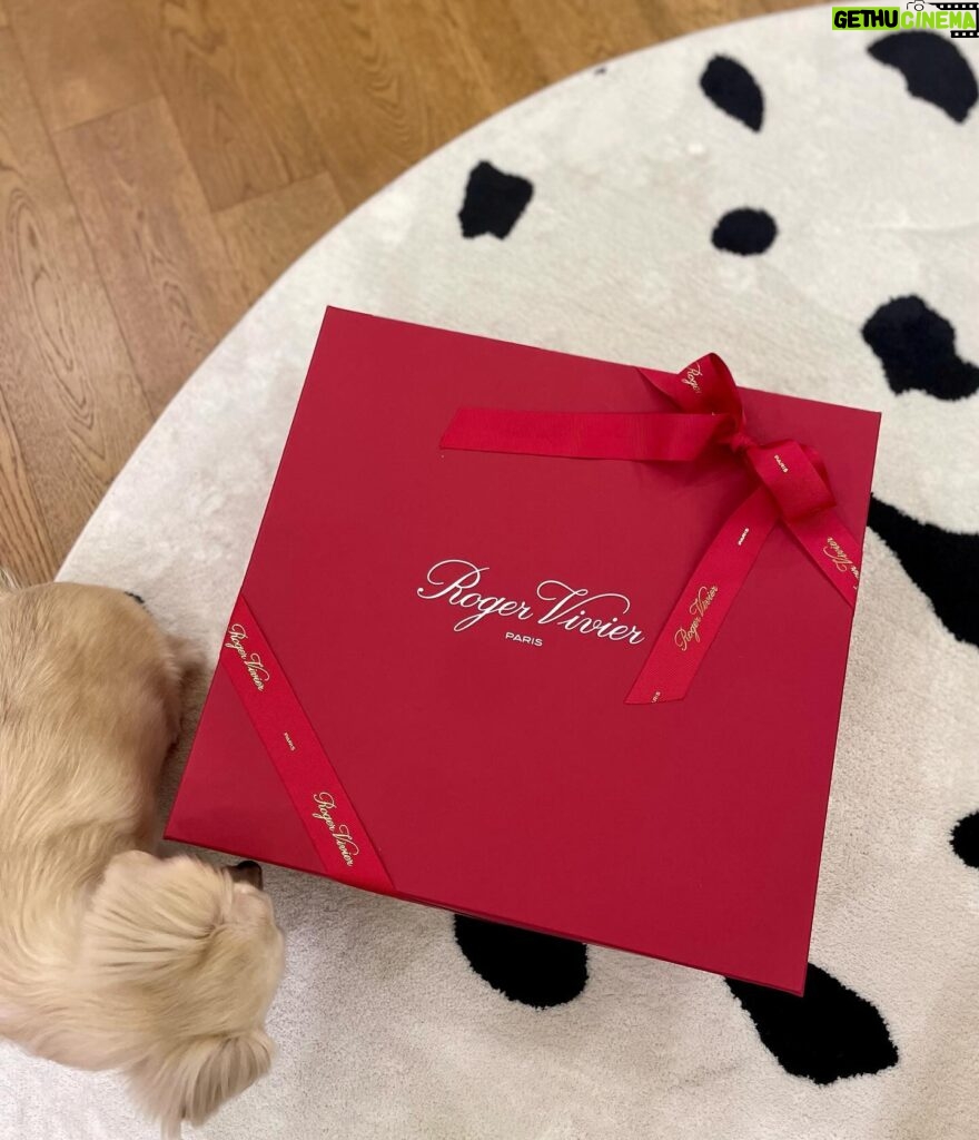 Ko Sung-hee Instagram - 🎁 🐕 ❤️ = Christmas Already🎄 💌 Special Thanks to @rogervivier 너무 오랜만이죠, 잘 지내고들 계신가요? miss-ya-all.