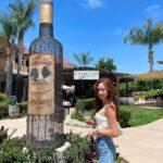 Ko Sung-hee Instagram - 🇺🇸🍷🥂🍕🥗 #mybirthdaytrip - 1 ▪️#wilsoncreekwinery ▪️#pontewinery ▪️#pontevineyardinn 🏡 At #Temecula