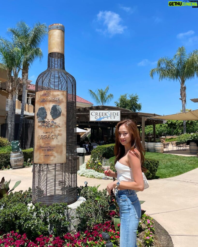 Ko Sung-hee Instagram - 🇺🇸🍷🥂🍕🥗 #mybirthdaytrip - 1 ▪️#wilsoncreekwinery ▪️#pontewinery ▪️#pontevineyardinn 🏡 At #Temecula