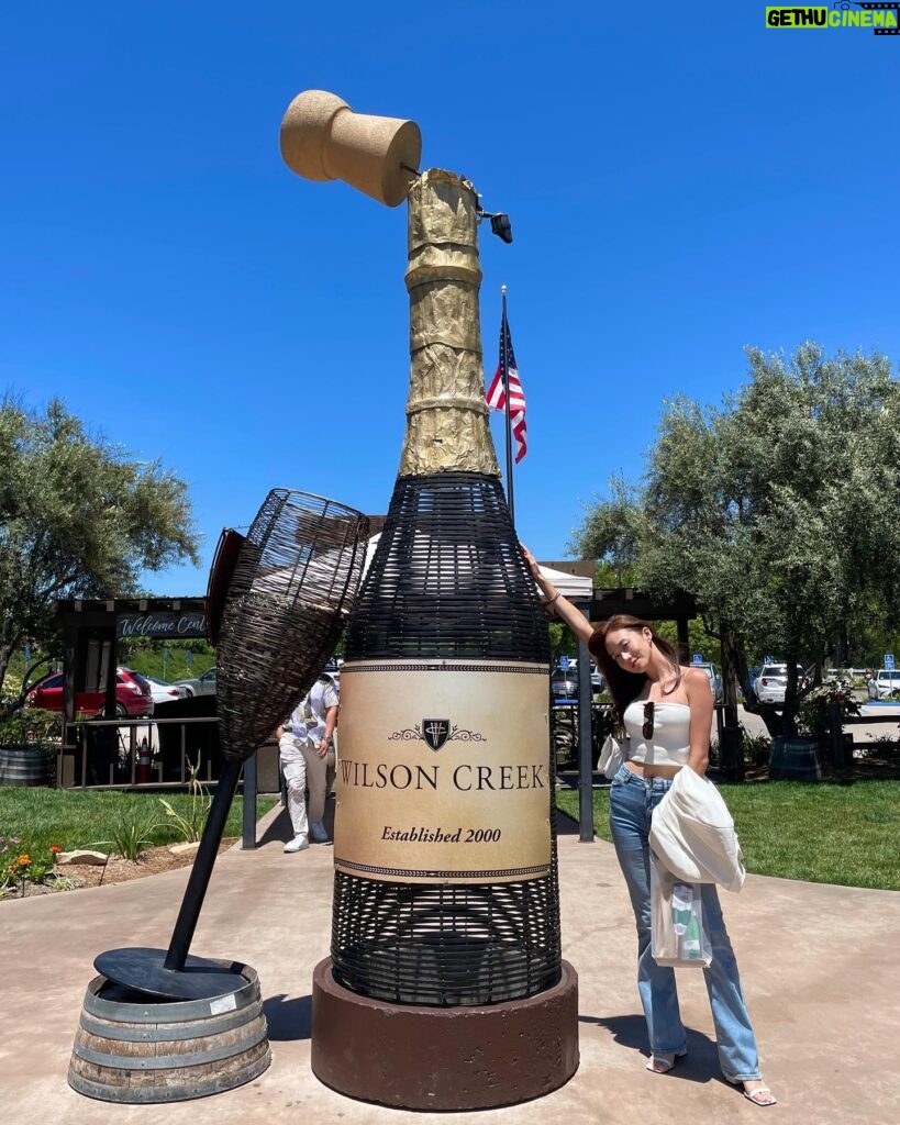 Ko Sung-hee Instagram - 🇺🇸🍷🥂🍕🥗 #mybirthdaytrip - 1 ▪️#wilsoncreekwinery ▪️#pontewinery ▪️#pontevineyardinn 🏡 At #Temecula