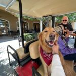 Ko Sung-hee Instagram - 🇺🇸🍷🥂🍕🥗 #mybirthdaytrip - 1 ▪️#wilsoncreekwinery ▪️#pontewinery ▪️#pontevineyardinn 🏡 At #Temecula
