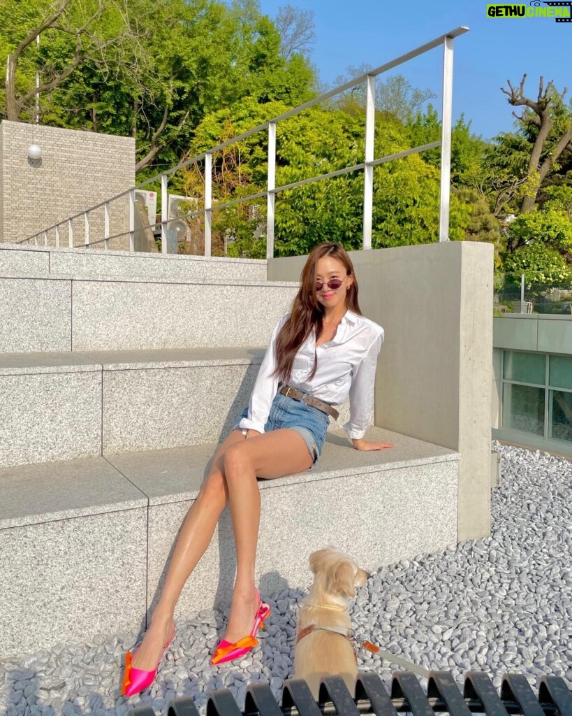 Ko Sung-hee Instagram - 🩷 With all the girl's dream shoes 🎀 Best 👠 @rogervivier @gherardofelloni . . . 📸 @cdeum 🐶