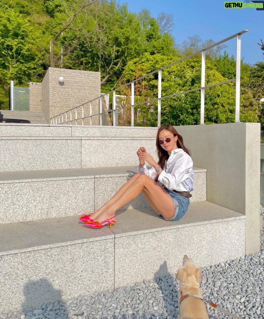 Ko Sung-hee Instagram - 🩷 With all the girl's dream shoes 🎀 Best 👠 @rogervivier @gherardofelloni . . . 📸 @cdeum 🐶