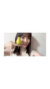 Actress Kohaku Shida HD Instagram Photos and Wallpapers June 2023