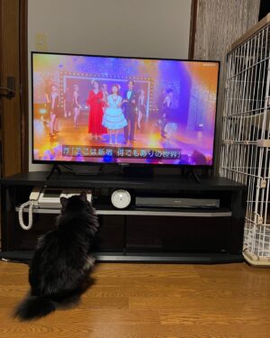 Kotone Furukawa Instagram - *
She knows me🥹🥹🥹