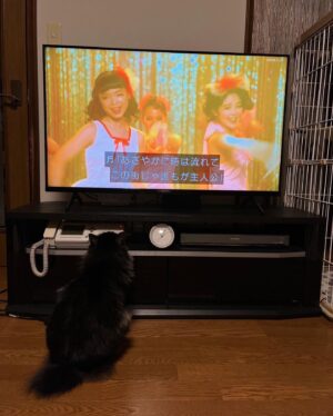 Kotone Furukawa Instagram - *
She knows me🥹🥹🥹