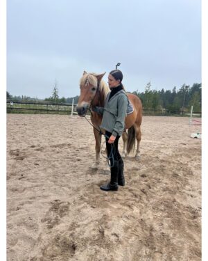 Krista Kosonen Instagram - Worked with this 19-year old Finnish horse today. His name is Vinkki and he is a gentleman. 🤎
kuva: @emmabentleymakeup 

#suomenhevonen 
#finnishhorse
#heidintallit 
#nauvo