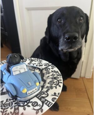 Krista Kosonen Instagram - Hilma pääsi kakunkoristeeksi! 
Mahtavan hieno 1-v synttärikakku jossa kaikkea mitä sankari rakastaa: hauvoja, autoja ja renkaita. 🐶🛞🚗

@iidannkakut ⭐️

#kakku #synttärit #1vuotias