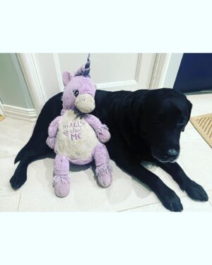 Krista Kosonen Instagram - Päivänsankari toivoi mustaa kakkua jonka päällä on hän itse, Hilma, veli joka ajaa autoa, lempipehmolelu-yksisarvinen ja sininen paketti. 
Välitin toiveet mutta varoittelin, ettei ehkä tuo kaikki kuitenkaan onnaa…

Vaan tänään tällainen kakku toimitettiin. 😍. 

🎂✨🎂✨🎂✨ Niin mahtavaa! @iidannkakut 

#kakku #synttärit #8vuotias #cake