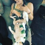Krista Allen Instagram - Beergle. #stellaartois #beagle #imfine #pups #boozehound credit: @valbot