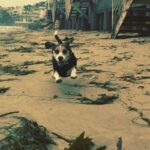 Krista Allen Instagram - Jack is the happiest beagle of all! ❤️