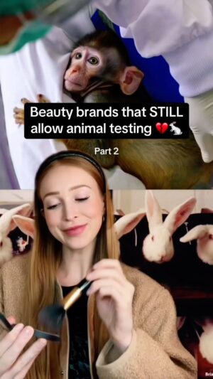Kristin Bauer Instagram - There is absolutely no excuse for animal testing in 2024. None. Please don’t support @revlon @aveenous @kiehls @colgate @pantene @opi @crest @elizabetharden @degree @blistex @listerine @jomalonelondon 
💓💓 🐰 🙏🙏

@livekindly >> What are your favorite cruelty-free products? Share them below so we can help each other move away from ones that are tested on animals 💔🐇

Thanks to @livekindly for the vegan message

Go vegan 🌱

If you like this post save, comment and share 💚

-

Follow me for more content @araujocesar 🙌🏼💥🌱

-
#vegancommunity #araujocesar #products #crueltyfree #vegan #govegan