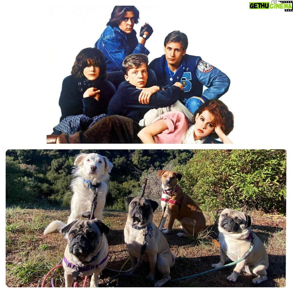 Kristin Bauer Instagram - School photos of my kids with their freinds on a #packhike ….OR a Hit TV show??? 🤔 #lawandorder #breakfastclub #dogs