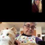 Kristin Bauer Instagram – Me zooming with 92 year old mom this week. Do you see her kitty?? I got it from the @alzassociation website. It’s the most amazing battery operated purring, blinking, meowing, and stretching cat! She loves it. If anyone you love has dementia or Alzheimer’s check it out. They have puppies too. #cat #dog #alzheimersassociation #alzheimersawareness #dementia
