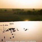 Kristin Bauer Instagram – Truly remarkable!
Repost @africanparksnetwork 
@shailenewoodley visited @zakouma_national_park in Chad, which was recently featured in @BBCEarth. Shailene and BBC Planet Earth III cameraman Toby Strong, help tell the story of Zakouma’s transformation through their own eyes, as well as with conversations with a local guide, Brahmin Arabi. 

Shailene said “I think it’s really inspiring when you hear stories of destruction and then you come to a place and see how much it’s thriving and how beautiful it is”. Toby continued “Everywhere we go [in Zakouma] we meet heroes, local people, who are laying their lives on the line to protect their little bit of nature, their wild animals. There are Zakouma’s all over this earth of impassioned, local people who need to be championed and supported”. Brahim who has been working as a local guide over the years said “The nature is a holding source of the country. But we need someone to look after it and keep it safe. The people feel safe. The elephants feel safe”. 

African Parks entered into a long-term agreement with the government of Chad to manage @zakouma_national_park in 2010. Since that time, poaching has nearly been eliminated and for the first time in decades the elephant population (as well as for other key species) is on the rise, jobs have been created, schools have been built, and stability radiates from the park. 

#Zakouma #BBCPlanetEarth #GoodNews #shaileenwoodley