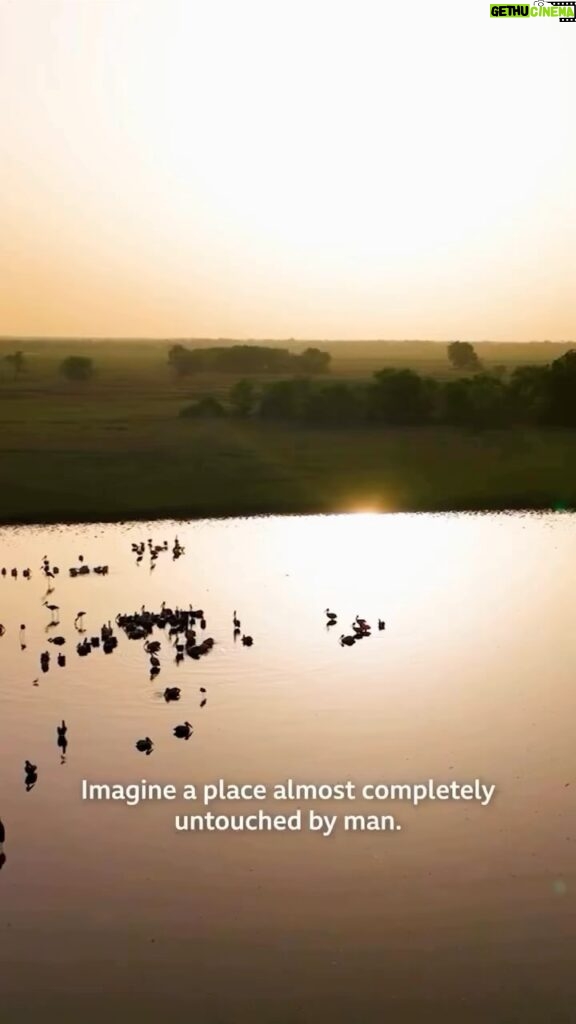 Kristin Bauer Instagram - Truly remarkable! Repost @africanparksnetwork @shailenewoodley visited @zakouma_national_park in Chad, which was recently featured in @BBCEarth. Shailene and BBC Planet Earth III cameraman Toby Strong, help tell the story of Zakouma’s transformation through their own eyes, as well as with conversations with a local guide, Brahmin Arabi. Shailene said “I think it’s really inspiring when you hear stories of destruction and then you come to a place and see how much it’s thriving and how beautiful it is”. Toby continued “Everywhere we go [in Zakouma] we meet heroes, local people, who are laying their lives on the line to protect their little bit of nature, their wild animals. There are Zakouma’s all over this earth of impassioned, local people who need to be championed and supported”. Brahim who has been working as a local guide over the years said “The nature is a holding source of the country. But we need someone to look after it and keep it safe. The people feel safe. The elephants feel safe”. African Parks entered into a long-term agreement with the government of Chad to manage @zakouma_national_park in 2010. Since that time, poaching has nearly been eliminated and for the first time in decades the elephant population (as well as for other key species) is on the rise, jobs have been created, schools have been built, and stability radiates from the park. #Zakouma #BBCPlanetEarth #GoodNews #shaileenwoodley
