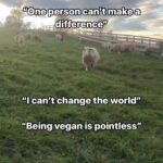 Kristin Bauer Instagram - Be kinder for YOUR SOUL. Let’s love ourselves enough to not harm Mother Earth and all her children. Not many want to cause suffering - so protect your immortal soul 🙏💗#eatlessmeat #nodairy #plantbased Raising animals for meat, eggs, and dairy takes a major toll on our planet. Not only does it use vast natural resources such as water and land, but it pollutes the air and water, leads to deforestation and biodiversity loss, and is a leading contributor to human-made greenhouse gas (GHG) emissions. In contrast, a study by researchers at the University of Copenhagen suggests that a vegan diet is the optimal diet for the environment because its production results in the lowest level of GHG emissions. Ready to get started on your vegan journey? Click the link in our bio for our starter guide! 🎥 @farmsanctuary #vegan #vegansofig #vegansofinstagram #plantbased #plantbaseddiet #plantbasedgourmet #veganfoodies #climatechange #fortheanimals #fortheplanet #sustainability