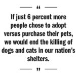 Kristin Bauer Instagram - Could you be part for the six percent that could end the killing of millions of healthy dogs and cats every year? Join me…it’s a happy place! Animals are not products. #puppiesnotproducts #adoptdontshop