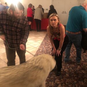 Kristina Klebe Instagram - Did I mention I’m a #wolf whisperer? No but seriously watch the progression of these photos taken within 5 minutes. I was told by his handler that #ORION -who is 96% wolf -does not lay down in front of strangers … I cheated - I sent him some #reiki energy 😝 also, though, I am part wolf 😝 #animallover #wolflover #savethewolves #spiritanimal #christmasgift #christmassurprise #merrychristmas #love #rescueanimals