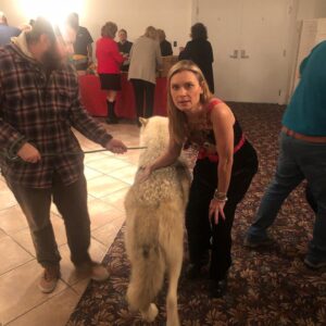Kristina Klebe Instagram - Did I mention I’m a #wolf whisperer? No but seriously watch the progression of these photos taken within 5 minutes. I was told by his handler that #ORION -who is 96% wolf -does not lay down in front of strangers … I cheated - I sent him some #reiki energy 😝 also, though, I am part wolf 😝 #animallover #wolflover #savethewolves #spiritanimal #christmasgift #christmassurprise #merrychristmas #love #rescueanimals